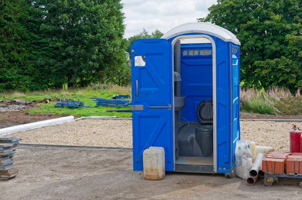 Best Portable Restroom Servicing (Cleaning and Restocking)  in West Bishop, CA